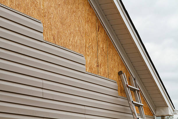 Professional Siding Repair technician working in Hamel, MN